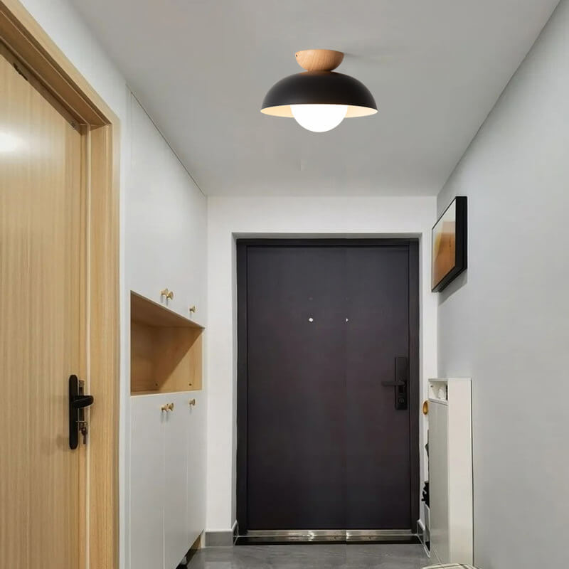 Contemporary Dome Ceiling Light