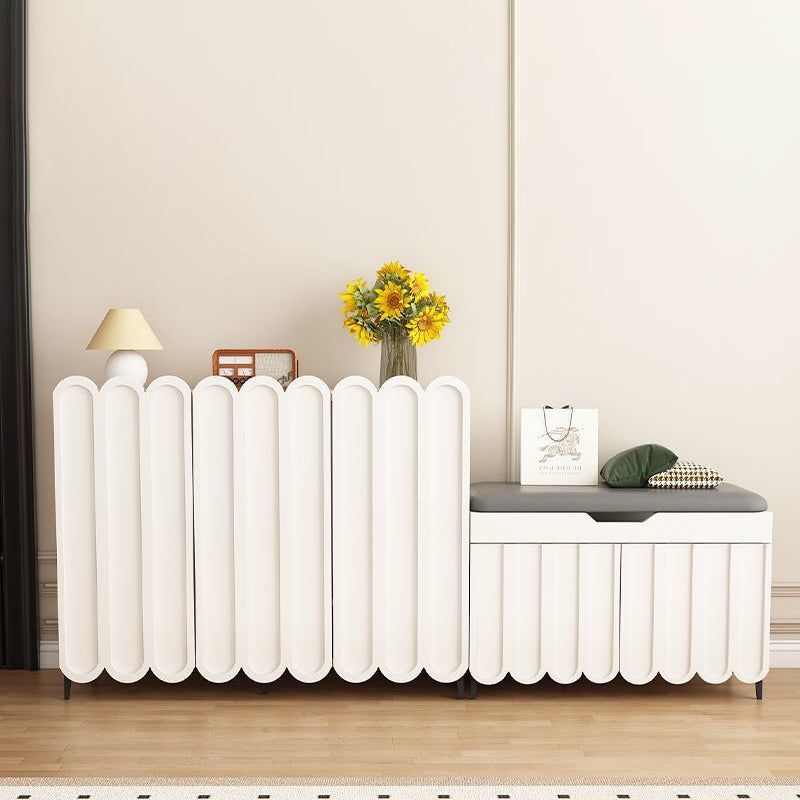 Contemporary Metal Shoe Rack