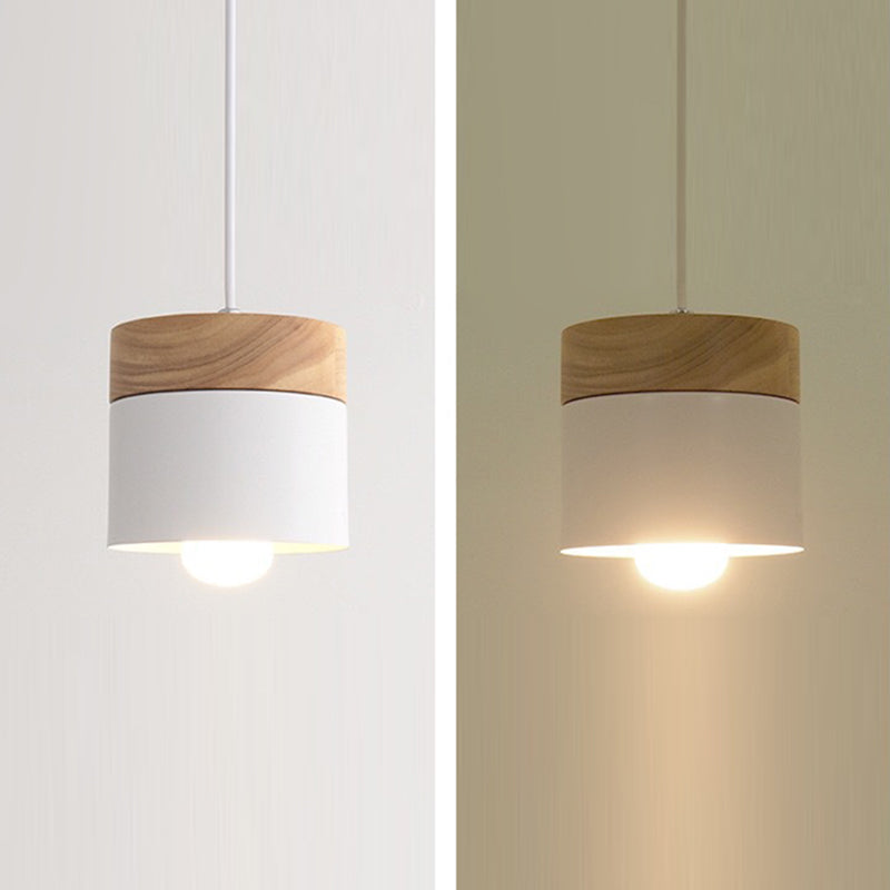 Modern Iron Wood Pendant Light