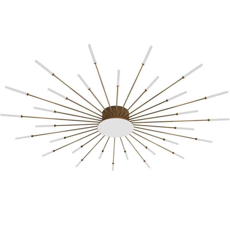 Contemporary Aluminum Iron Ceiling Light
