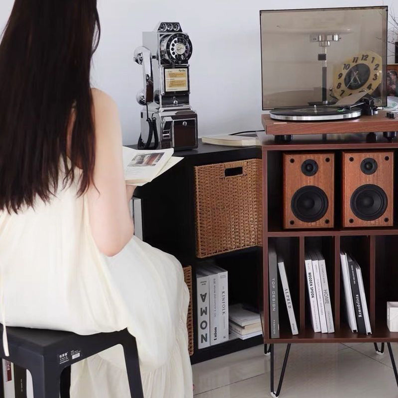 Modern Metal Storage Cabinet