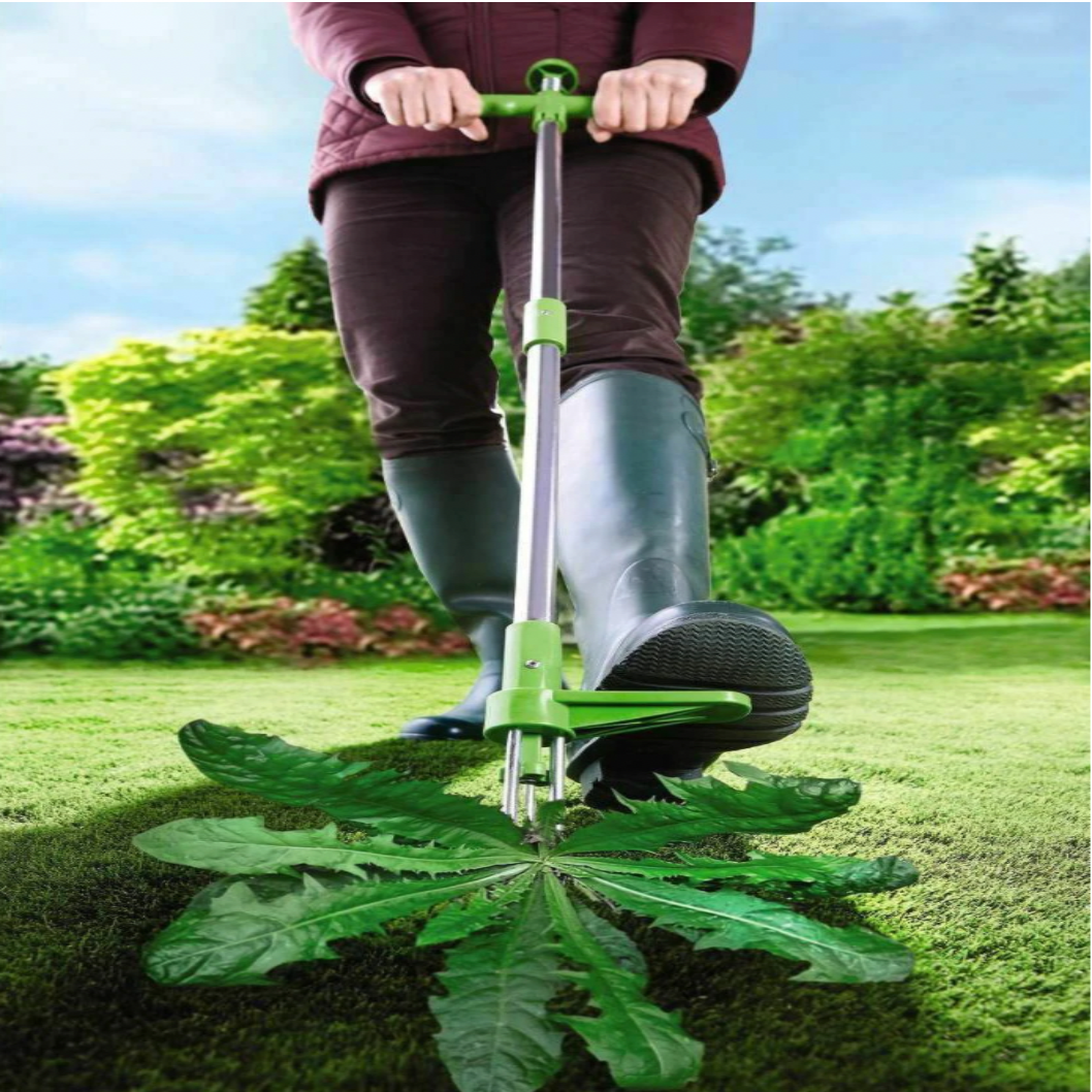 Standing Weed Root Puller