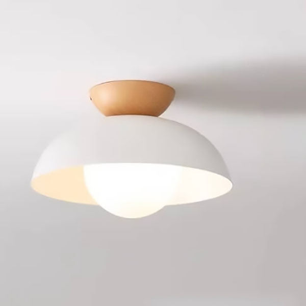 Modern Iron Ceiling Light