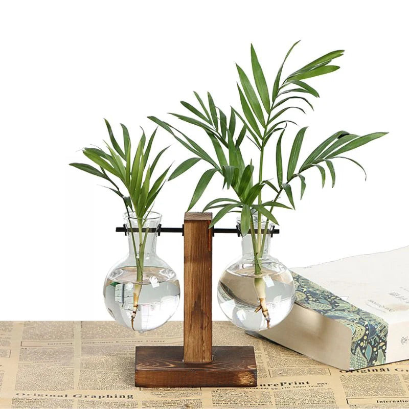 Hydroponic Plant Vase with Wood Frame