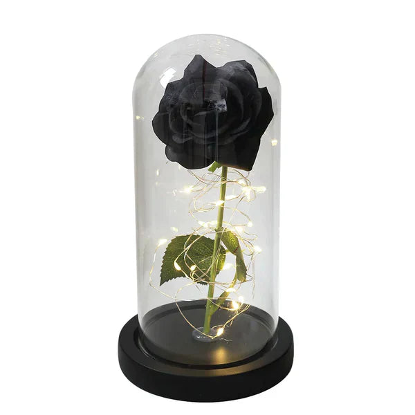 Preserved Rose with LED Glass Dome Display