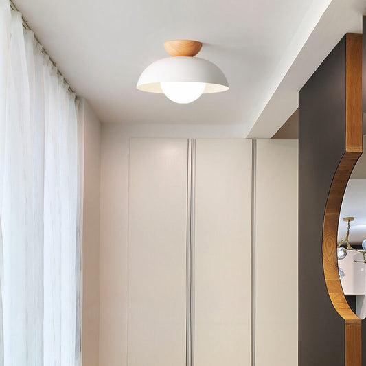 Contemporary Dome Ceiling Light