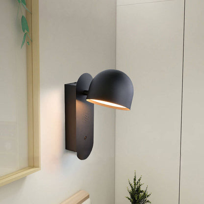 Solid Round Head Voice Control Acrylic LED Wall Sconce Lamp