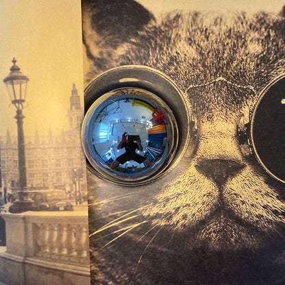 Electroplated Iron Spherical Glass 1-Light Wall Sconce Lamp