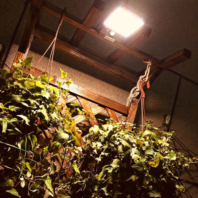 Square LED Outdoor Solar Waterproof Sensor Wall Sconce Lamp