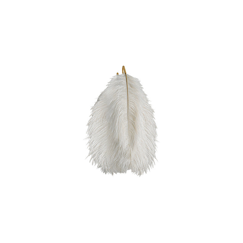 Creative Ostrich Feather Design 1-Light Wall Sconce Lamp