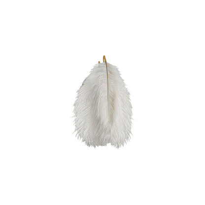 Creative Ostrich Feather Design 1-Light Wall Sconce Lamp