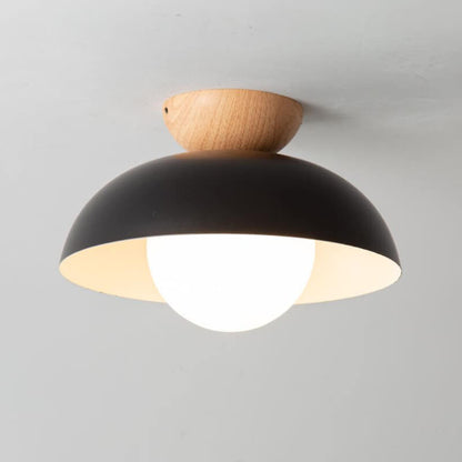 Modern Iron Ceiling Light
