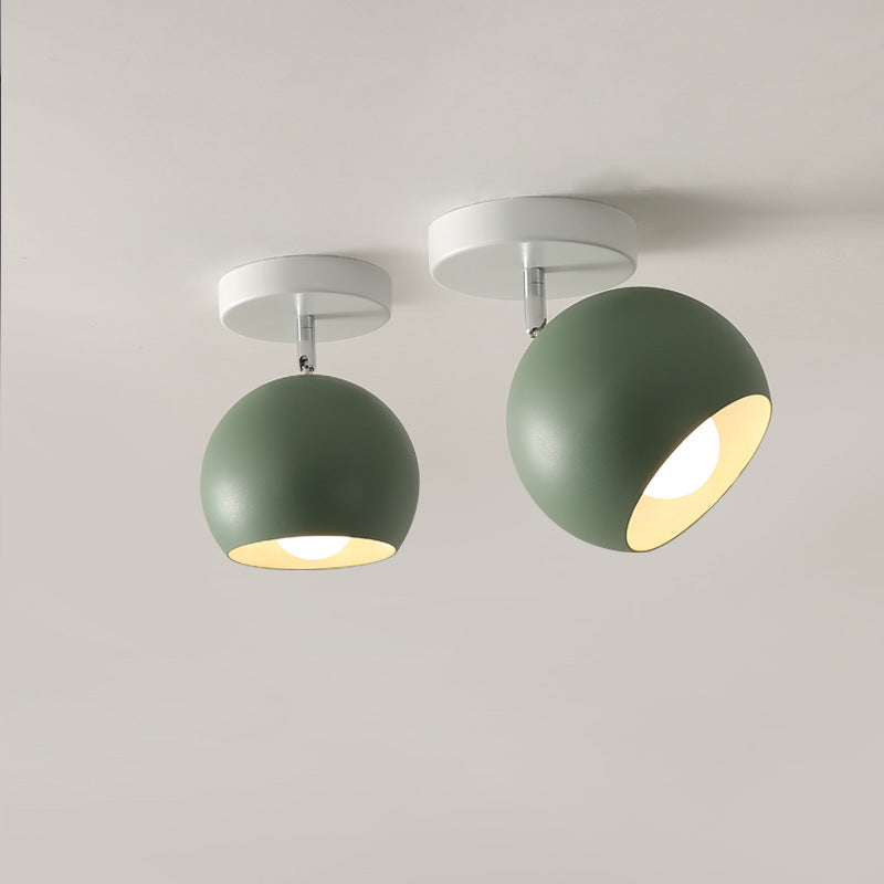 Contemporary Aluminum Ceiling Light
