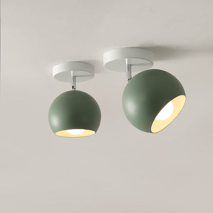 Contemporary Aluminum Ceiling Light