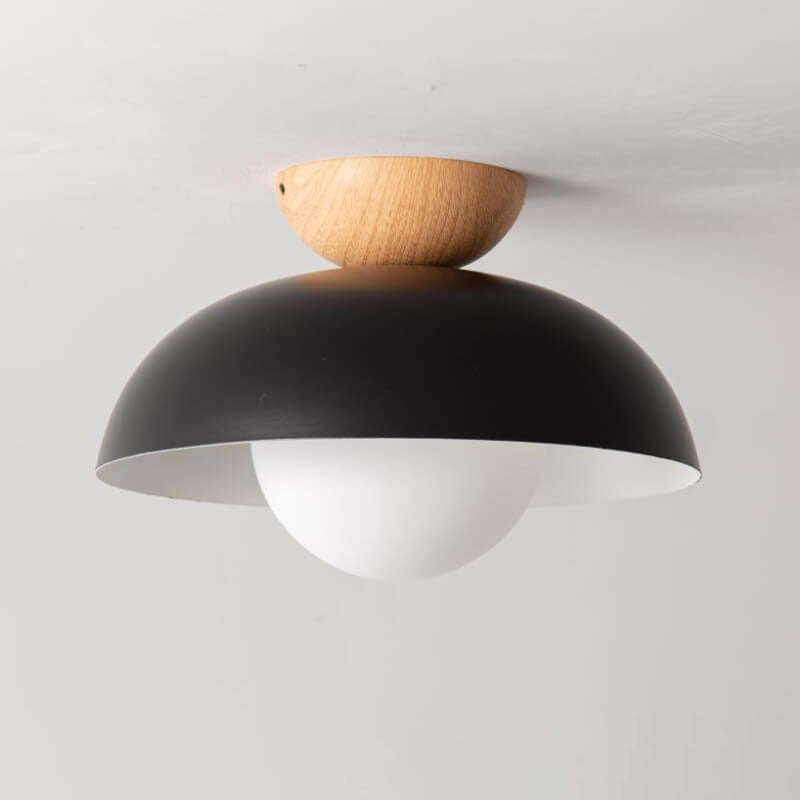 Modern Iron Ceiling Light