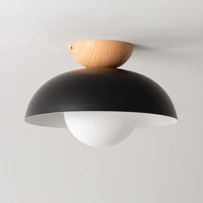 Modern Iron Ceiling Light