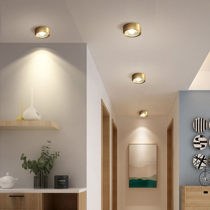 Nordic Luxury Copper Ultra-Thin LED Flush Mount Light