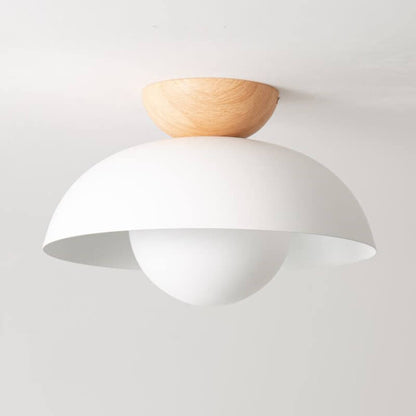 Modern Iron Ceiling Light