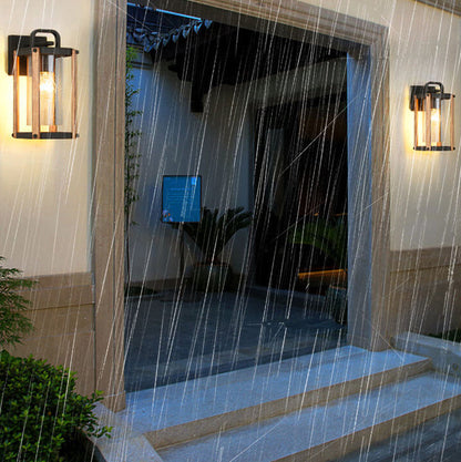 Simplicity Iron Glass 1-Light Outdoor Wall Sconce Lamp