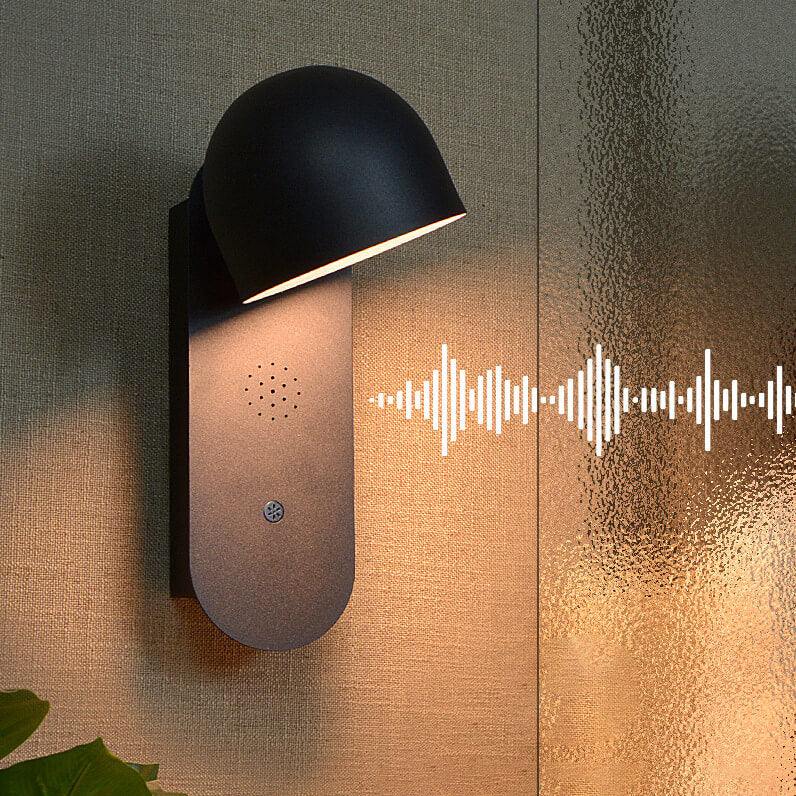 Solid Round Head Voice Control Acrylic LED Wall Sconce Lamp