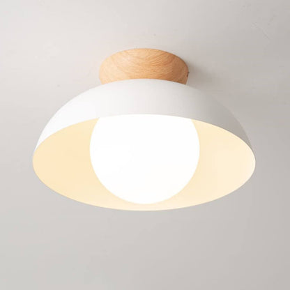 Modern Iron Ceiling Light