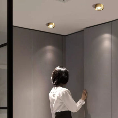 Nordic Luxury Copper Ultra-Thin LED Flush Mount Light