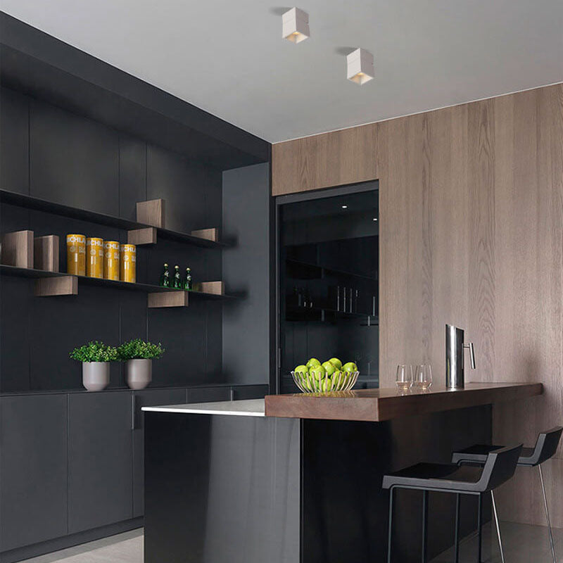 Modern Ceiling Light