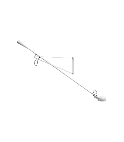 Adjustable Extended-Arm Wall Lamp