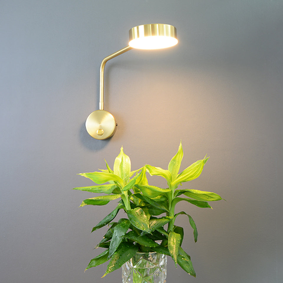 Solid Color with Switch Rotatable LED Wall Sconce Lamp