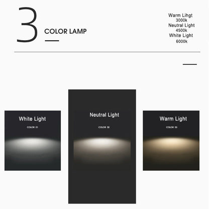Modern Creative Ceiling Light