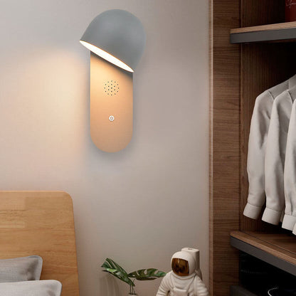 Solid Round Head Voice Control Acrylic LED Wall Sconce Lamp