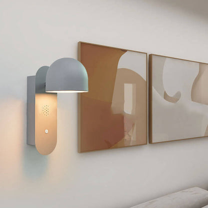 Solid Round Head Voice Control Acrylic LED Wall Sconce Lamp