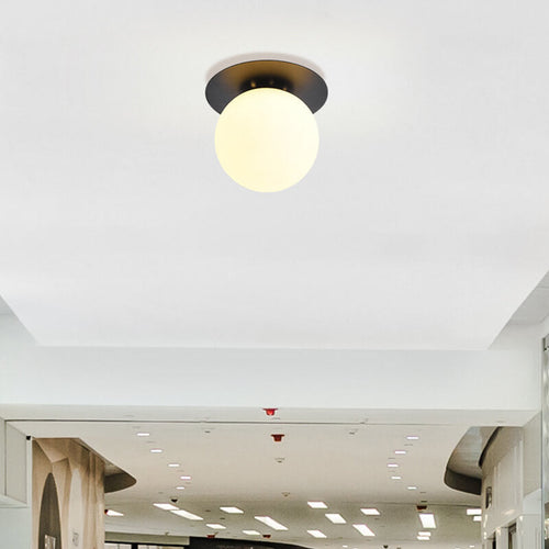 Modern Globe Ceiling Light