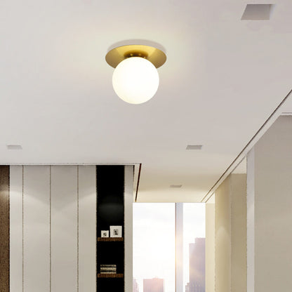 Modern Globe Ceiling Light