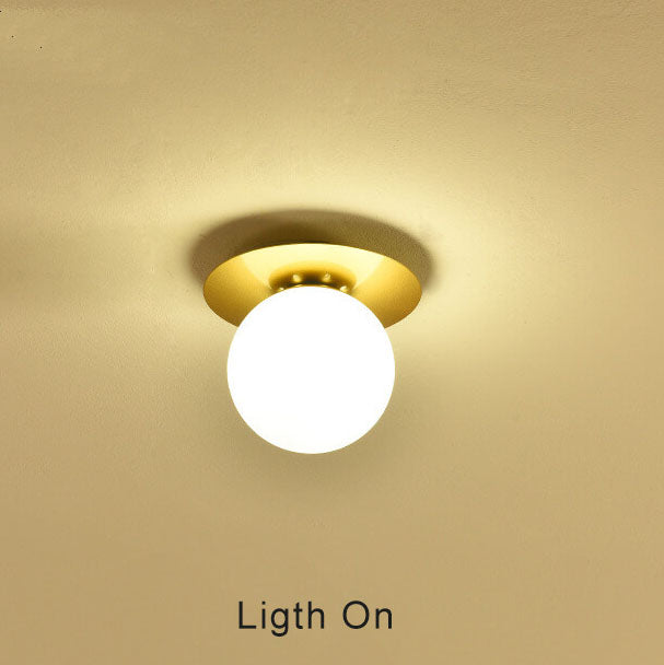 Modern Globe Ceiling Light