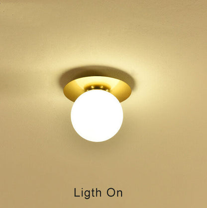 Modern Globe Ceiling Light