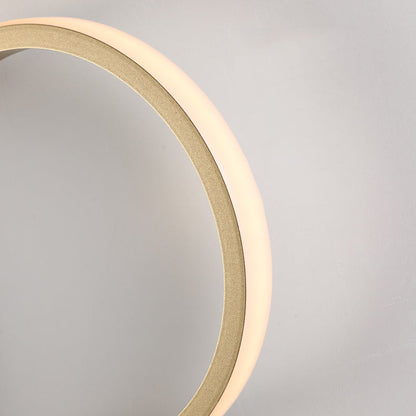 Modern Minimalist Oval Iron Acrylic LED Wall Sconce Lamp