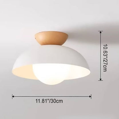 Modern Iron Ceiling Light