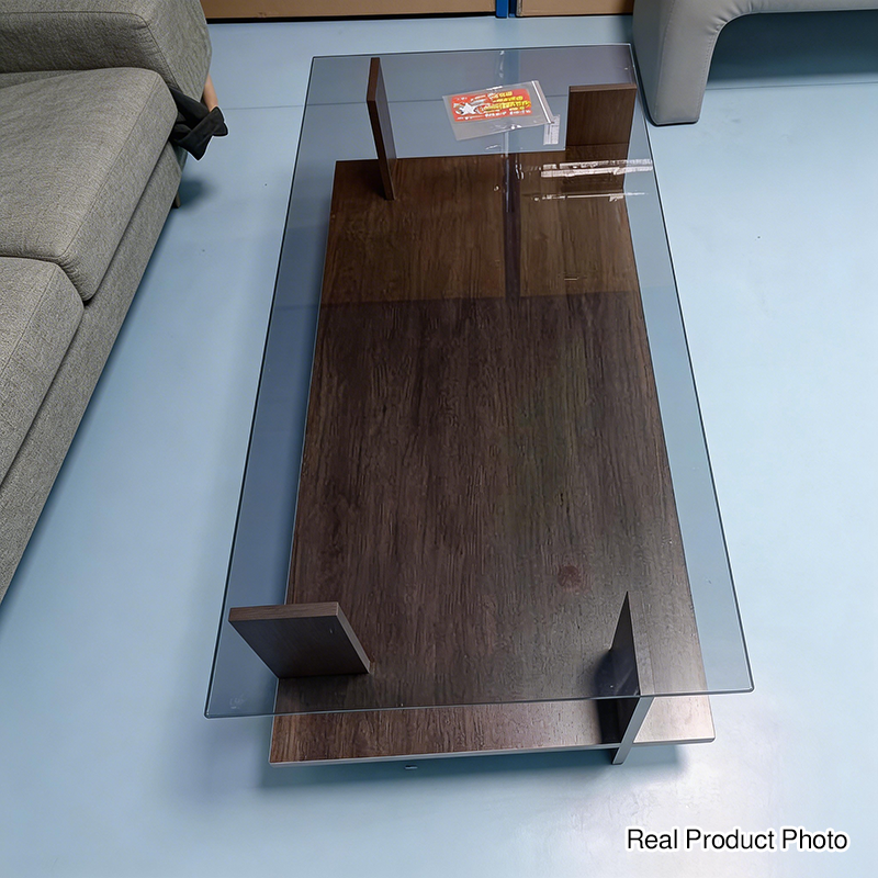 Modern Glass Coffee Table