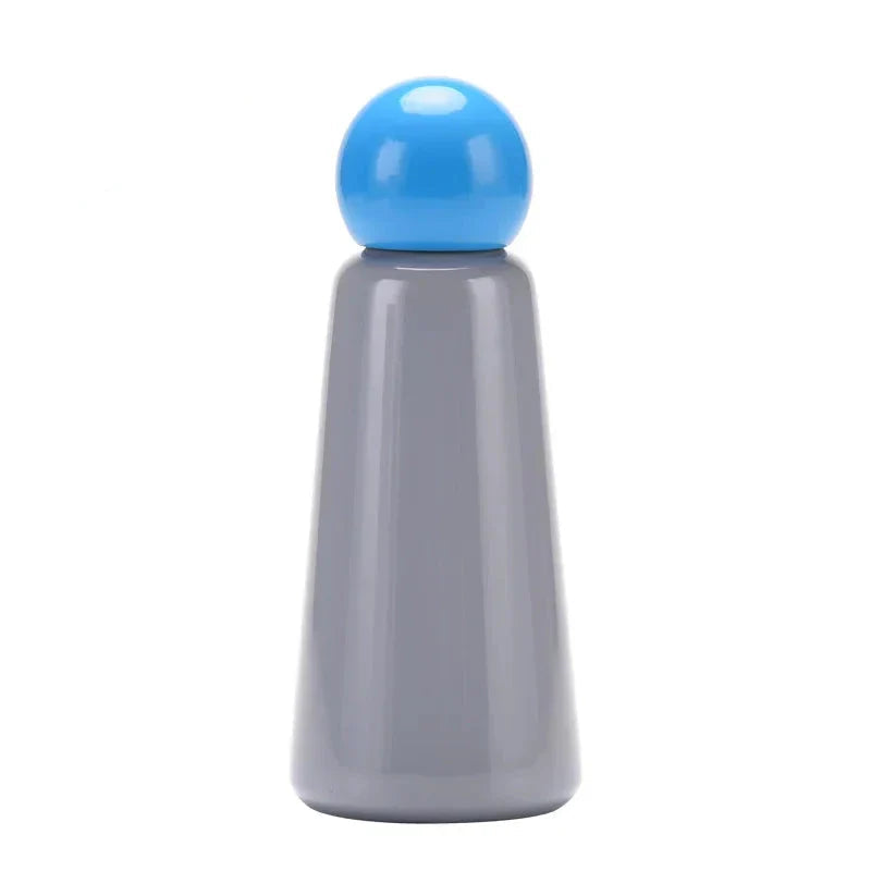 Insulated Stainless Steel Water Bottle, Leak-Proof