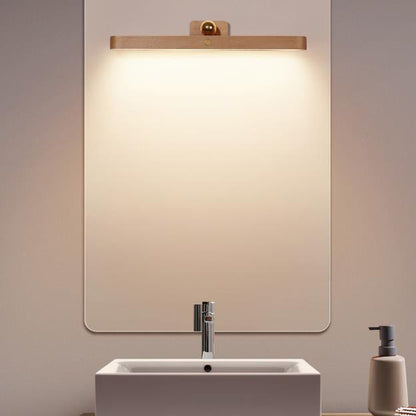 Simplicity LED Mirror Front Light USB Wall Sconce Lamp