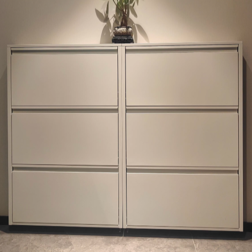 Modern Shoe Rack