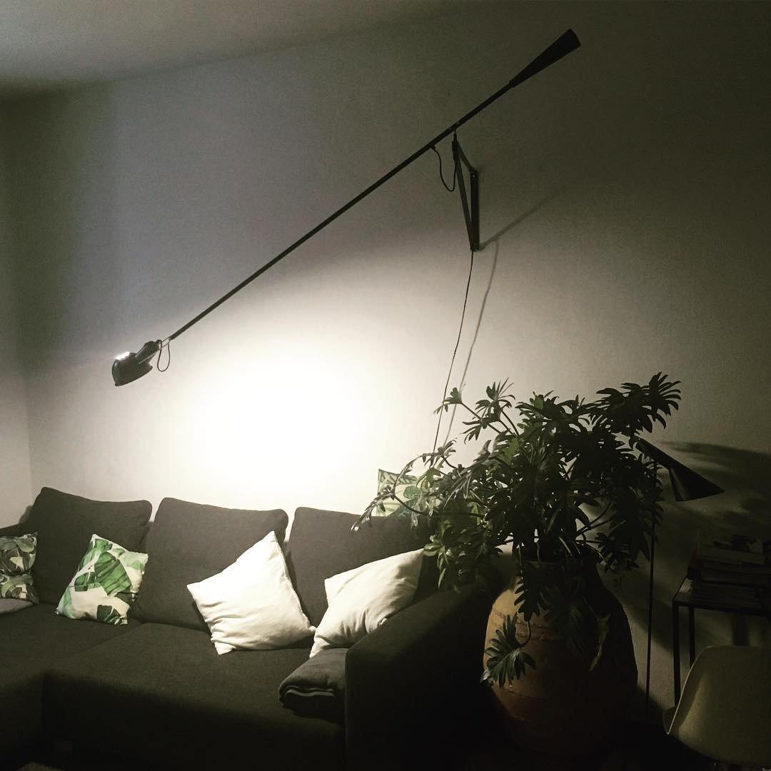 Adjustable Extended-Arm Wall Lamp