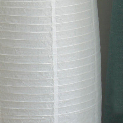Nordic Minimalist Rice Paper Column 2-Light Floor Lamp