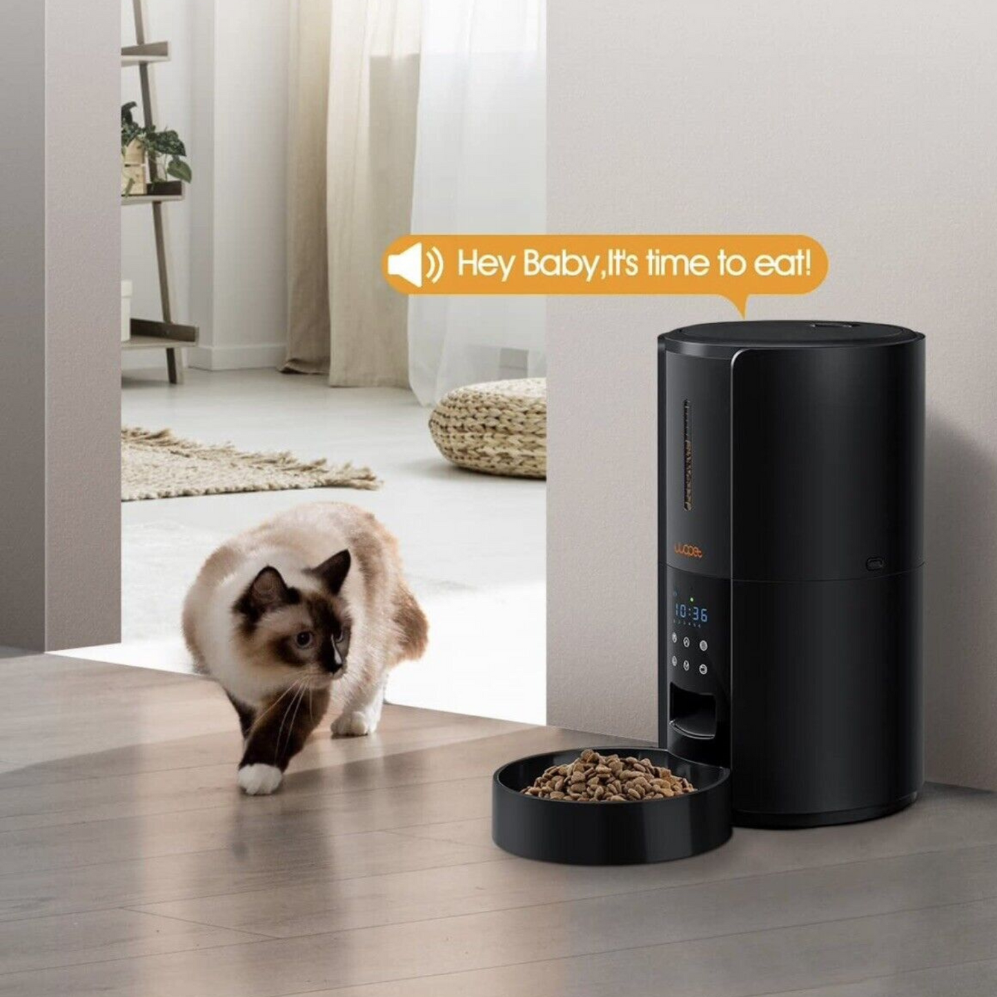 Large Automatic Pet Food Feeder Dispenser