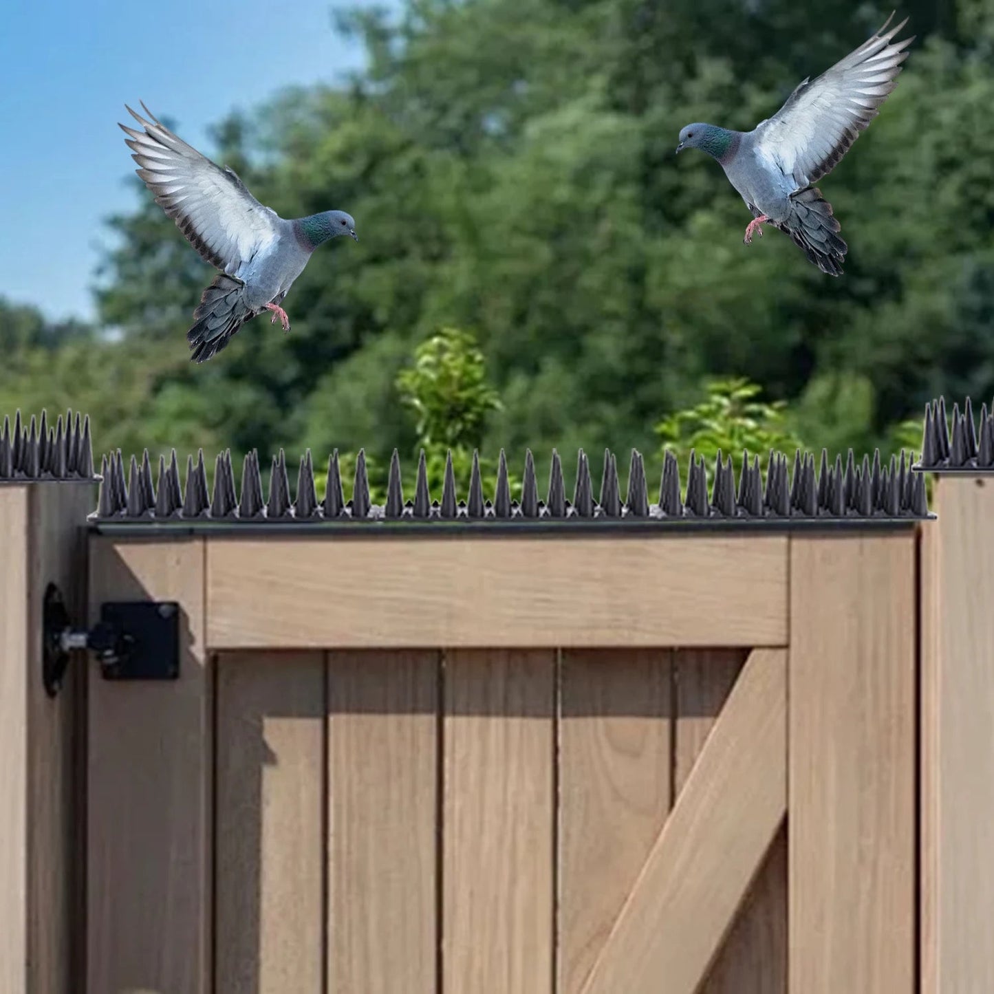 Bird Repeller Deterrent Spikes