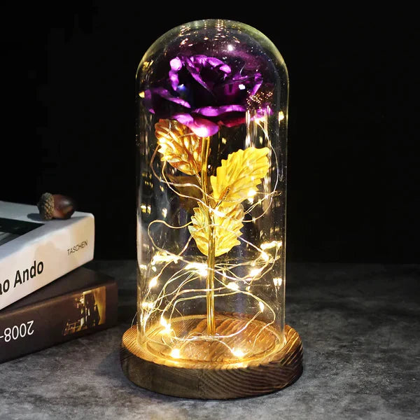 Preserved Rose with LED Glass Dome Display