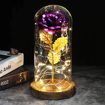 Preserved Rose with LED Glass Dome Display
