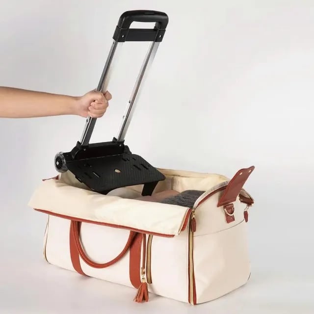 Carry On Travel Bag