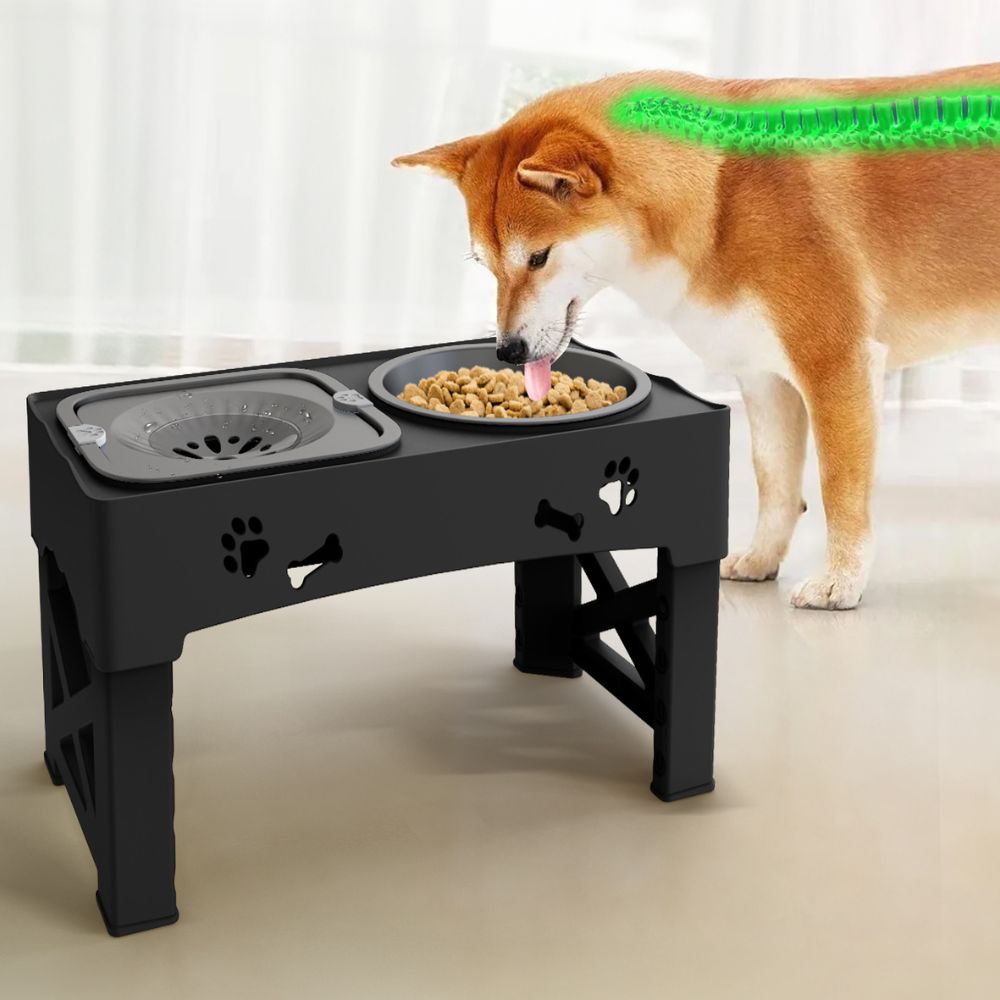 Adjustable Raised Dog Slow Feeder Bowl